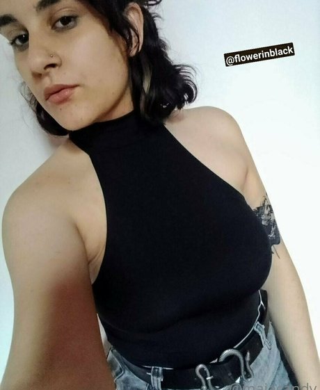 maiacandy model adult galleries