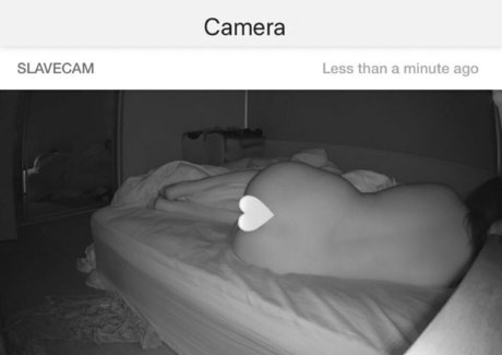 sadiee babyyfree pornstar top pictures