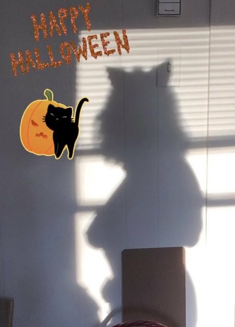 sarahtheslutfree pornographic model gallery