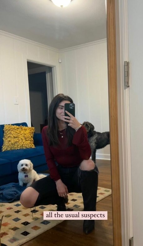 Brett Cooper high quality pornstar image