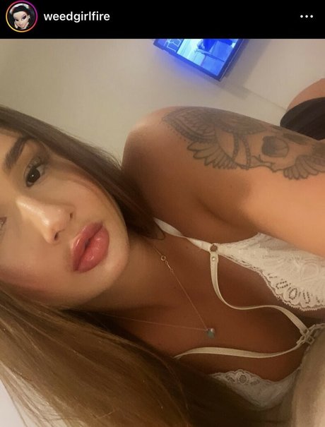 SteRibeiro_ star pretty pics