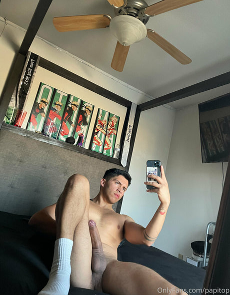 papitop model perfect picture