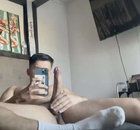 papitop model top pics