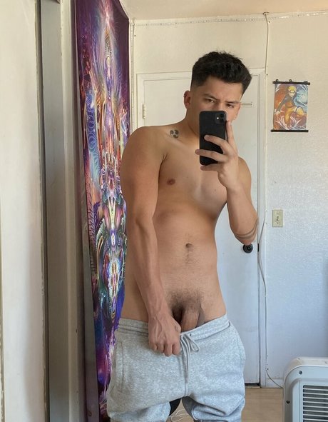 papitop perfect model images