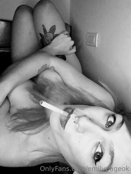 emilypageok star art gallery