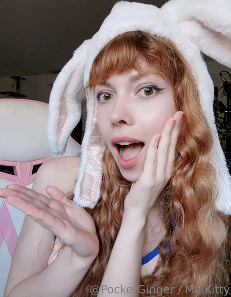 pocketginger high quality star gallery