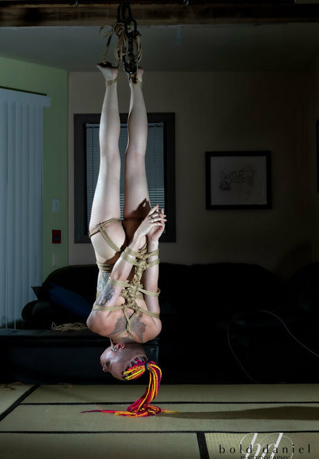 the inkedrabbit art pornstar archive