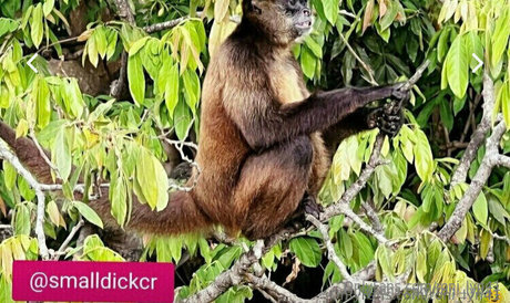 roni lyn41 xxx model image