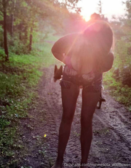 minnesota wildflower sex pornstar galleries