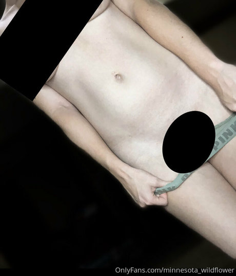 minnesota wildflower exclusive model archive