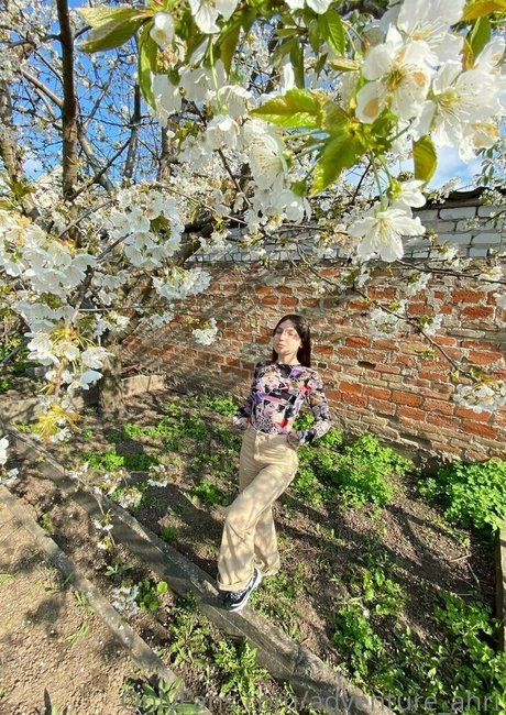 adventure ahri beautiful star pics