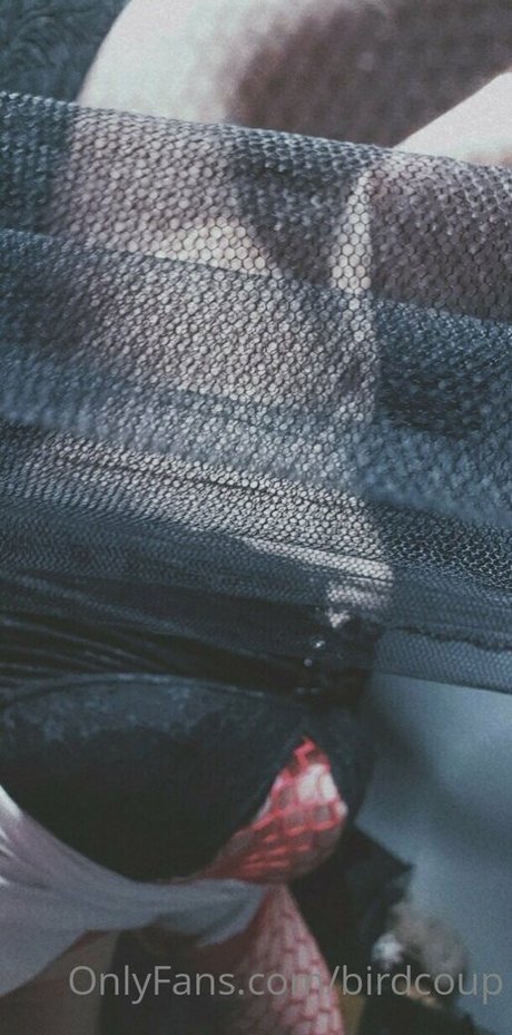 Birdcoup model porn pictures