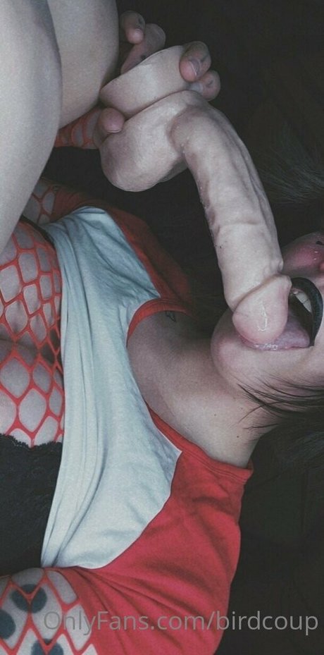 Birdcoup pretty star gallery