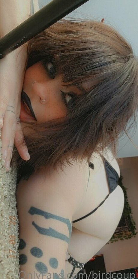 Birdcoup top pornstar gallery