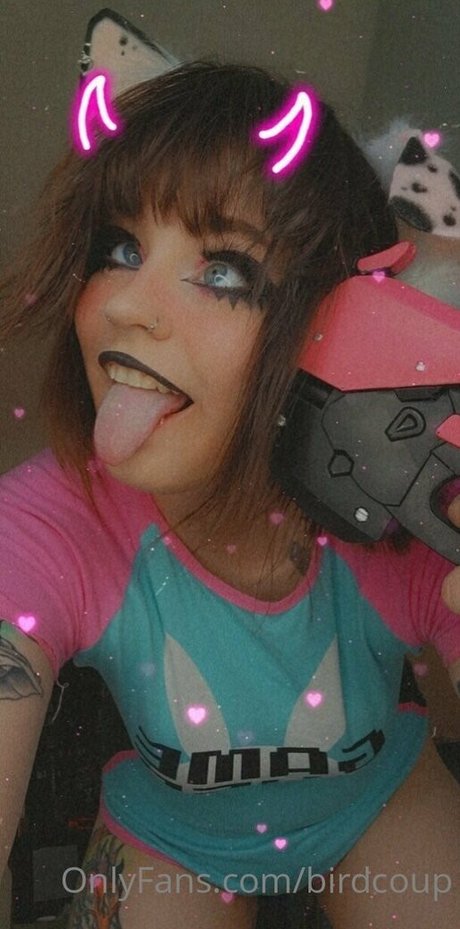 Birdcoup Photo Gallery