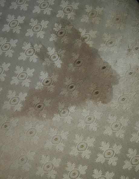 wetnbadmommy pornstar pretty picture