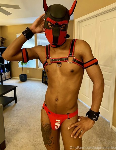 holetrainerleo pornstar perfect galleries