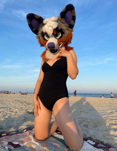 tastymonty star art archive