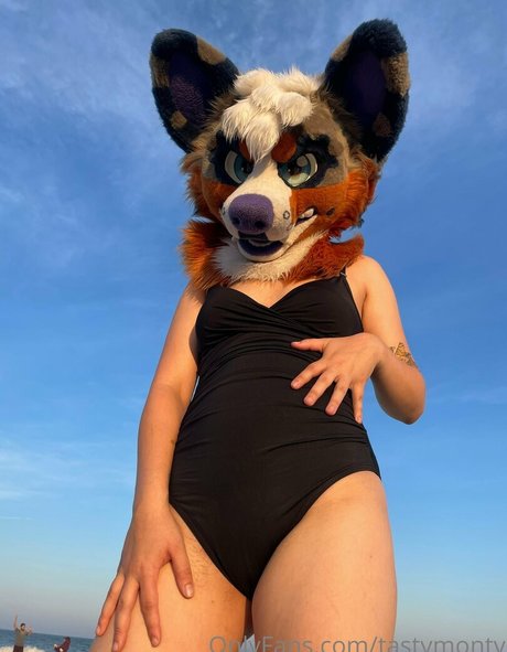 tastymonty pornstar hd photos