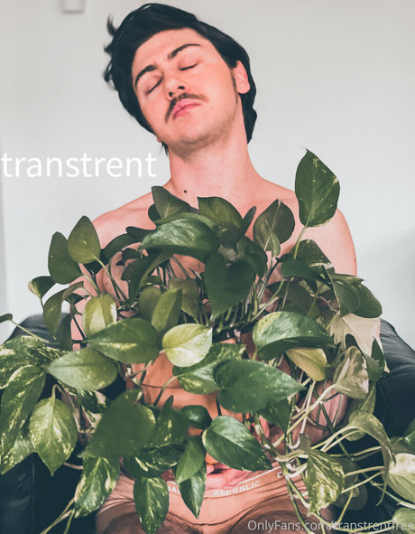 ebony bbw onlyfans pornos pictures