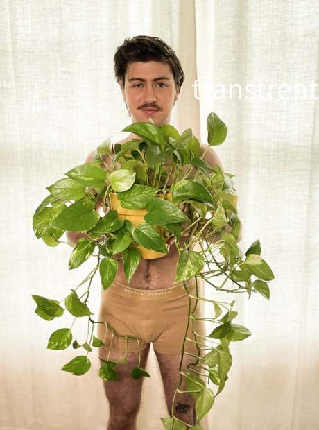 transtrentfree hd pornstar pic