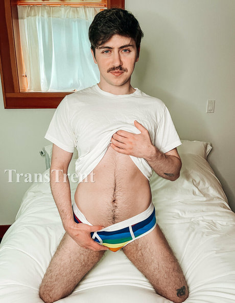 transtrentfree free star gallery