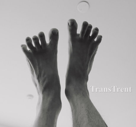 transtrentfree top pornstar pics