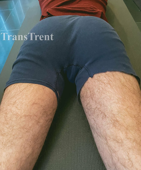 transtrentfree pornstar free picture