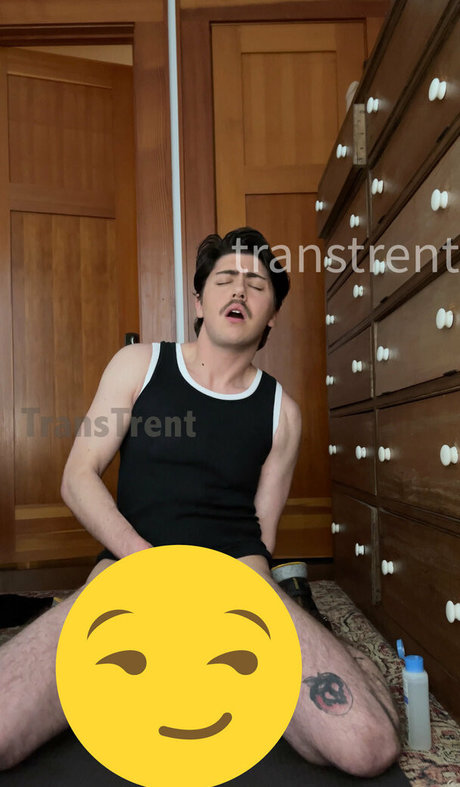 transtrentfree star nice images