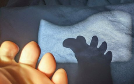 tashad4715 art actress photo