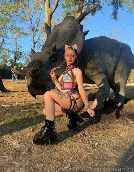 courtneyheartxo star art pictures