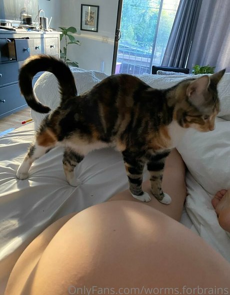 worms forbrains sexy model pictures