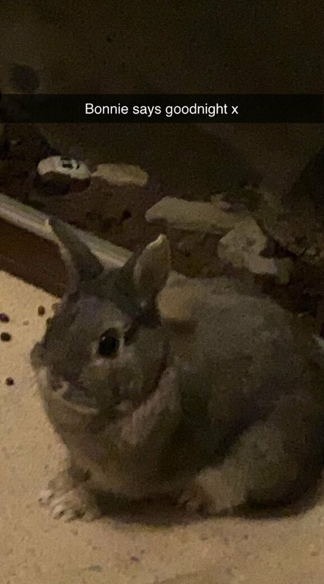 2024 top onlyfans beautiful picture