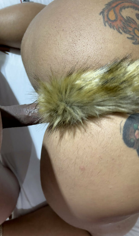 carlainhaia pornstar pretty picture