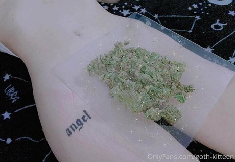 goth kitteen top star archive