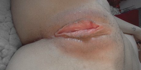 svenjaarl9 star best picture