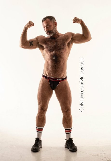 vinbarracafree model nice image