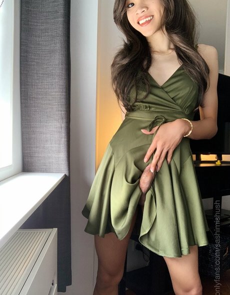 sashimishush art pornstar galleries