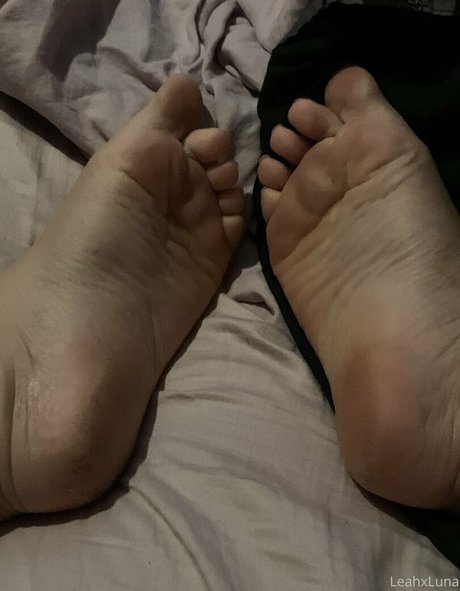 crypticalice top star gallery