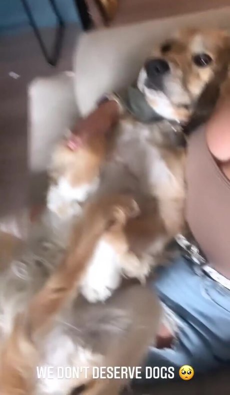 itssbriibitchh hot pornstar img