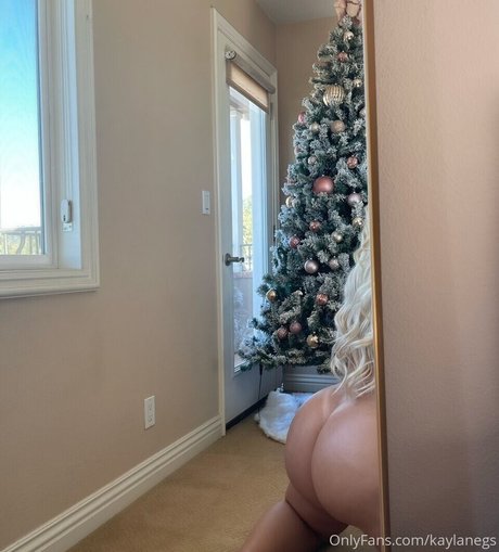 Kayla Negrino hot actress picture