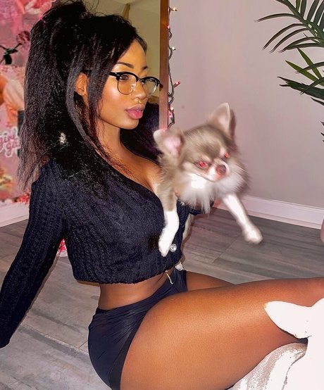 Ninarari hd star pictures