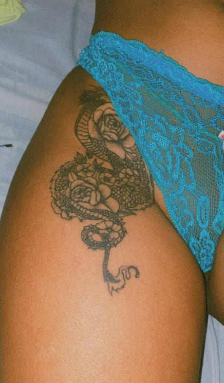 papaidrigo star high quality image