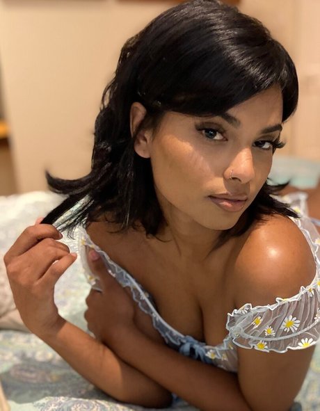 Sin xia beautiful star gallery