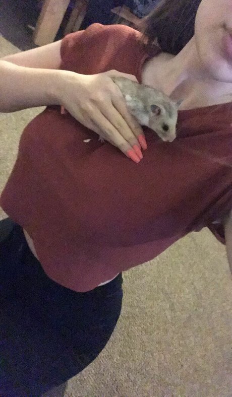 Chloe Carter nice model pics