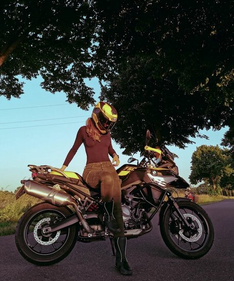 Hyrula perfect model img