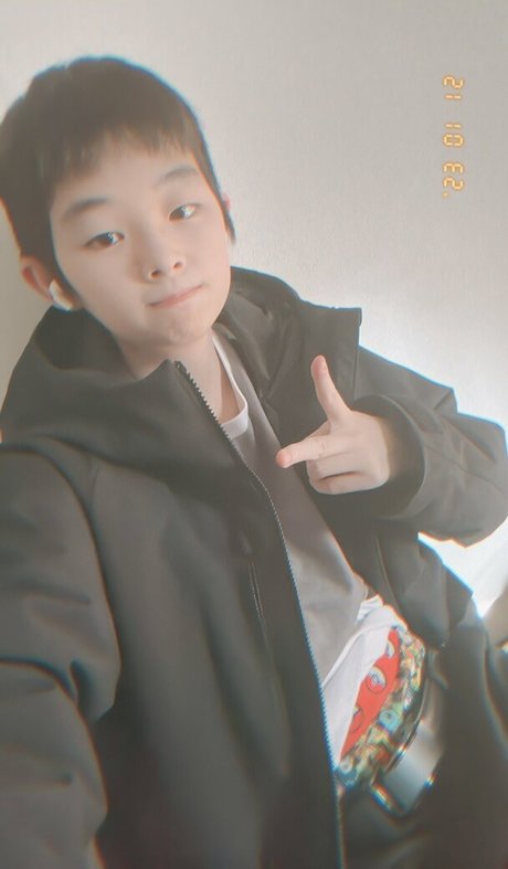 _Tigris tora_ perfect star galleries