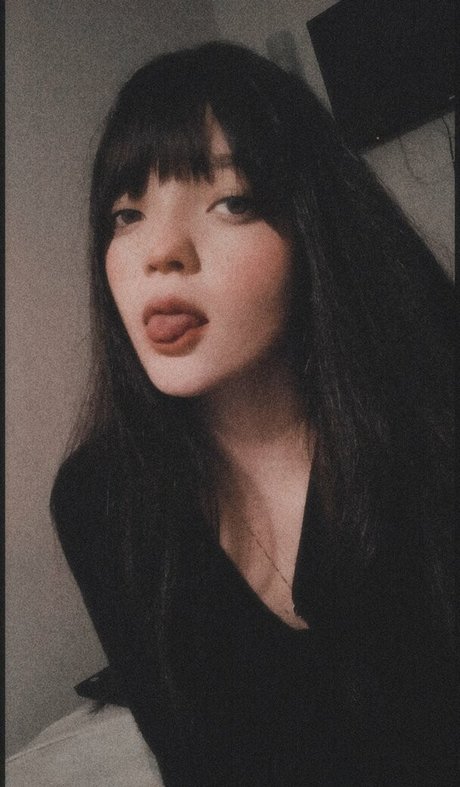 pietrafiore art star galleries