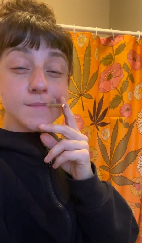 Jenners star adult images