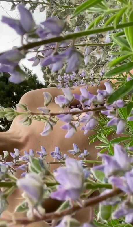 Jenners pornstar exclusive photo